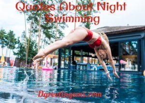 Quotes About Night Swimming